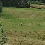 Le Cozy Du Poli, Le Des Lacs Apartment *