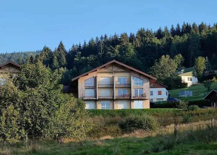 Le Cozy Du Poli, Le Des Lacs * Xonrupt-Longemer