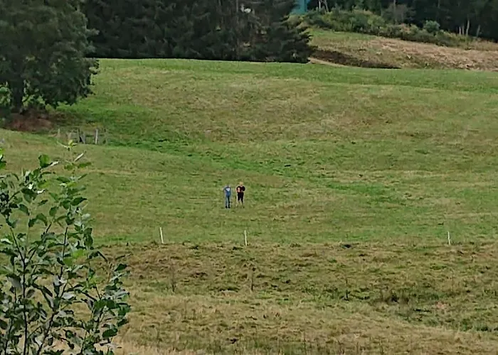 Le Cozy Du Poli, Le Des Lacs Apartmán *