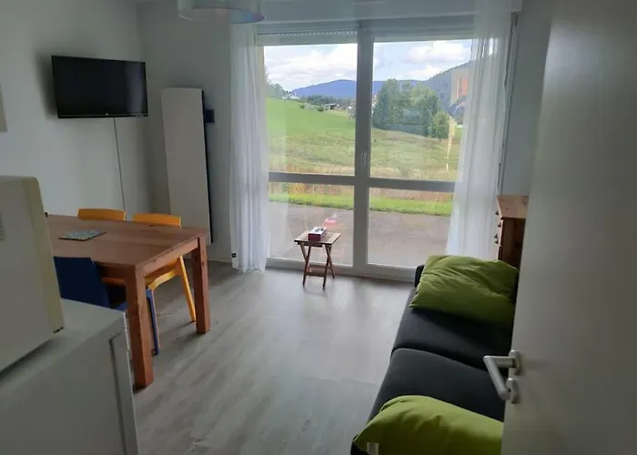 Le Cozy Du Poli, Le Des Lacs Xonrupt-Longemer